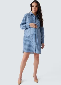 The Dad Maternity Poplin Shirt Dress