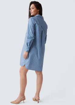 The Dad Maternity Poplin Shirt Dress