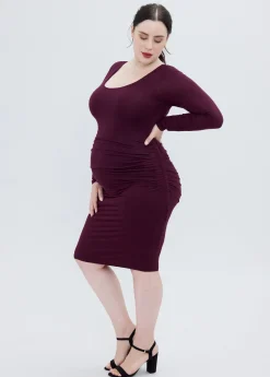 The Masterpiece Long Sleeve Maternity Dress