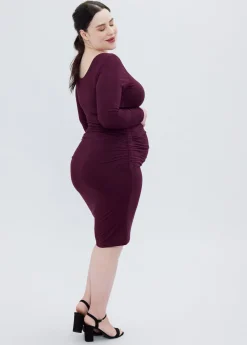 The Masterpiece Long Sleeve Maternity Dress