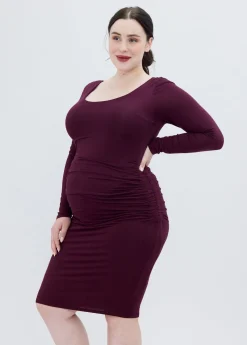 The Masterpiece Long Sleeve Maternity Dress